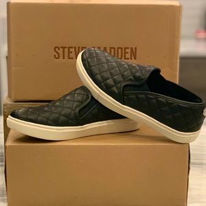 Steve Madden ( ECENTRCQ BLACK )